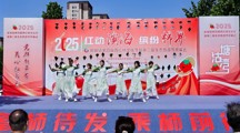 数字赋能乡村振兴 创意点燃新城“柿”界 ——天津滨海职业学院助力新城镇西红柿文化节暨生态旅游节