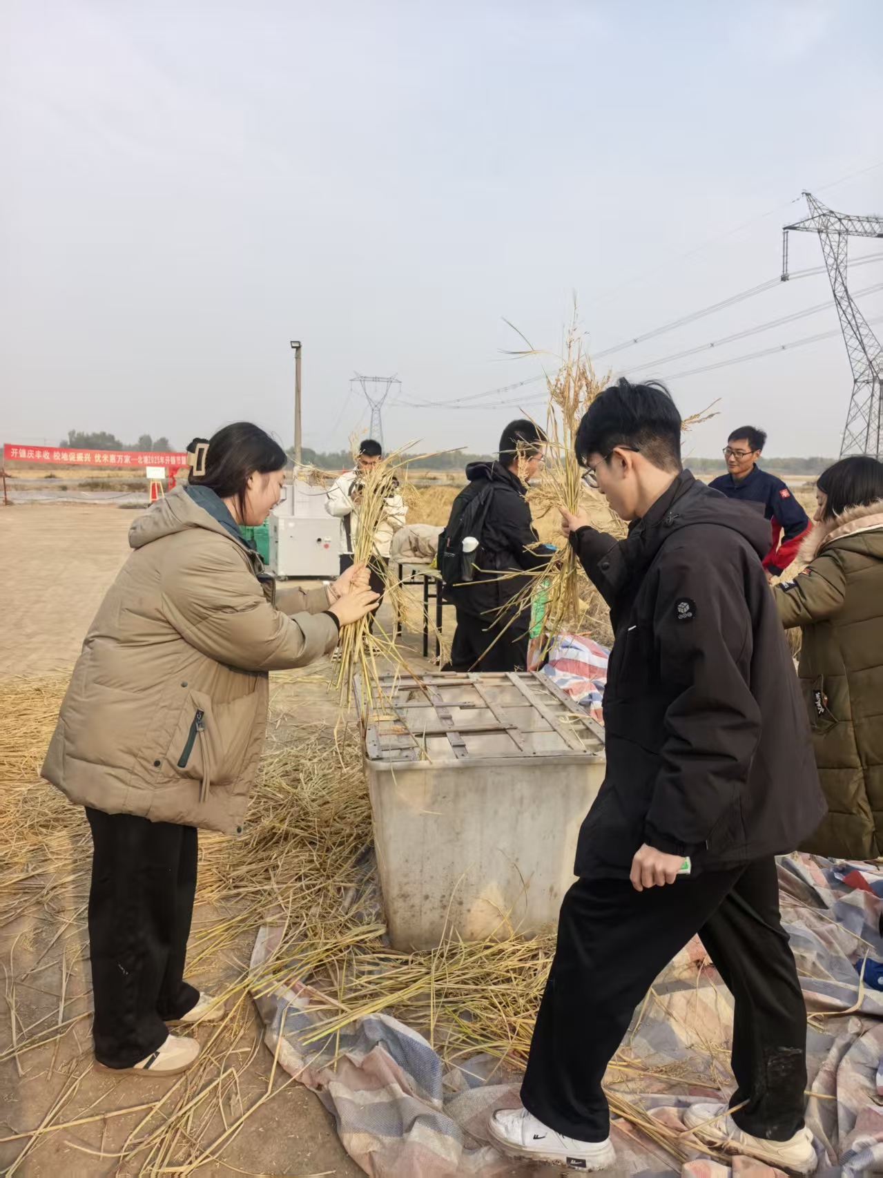 6学生体验传统脱粒技艺