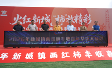 【职业教育活动周】劳动铸就梦想，数字赋能振兴——我校师生深度参与新城镇西红柿丰收嘉年华