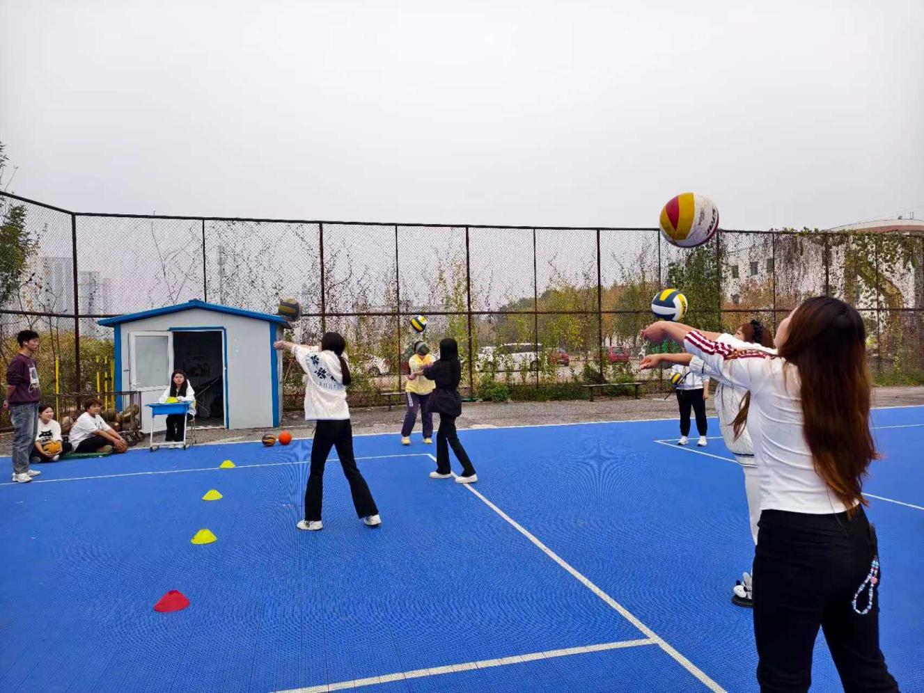 07f69e7b9e2fdd7563dfce94292c40a