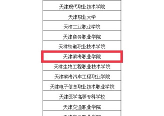 我校学生在2025年天津市大学生“AI+信息素养”大赛（高职高专赛道）中喜获佳绩