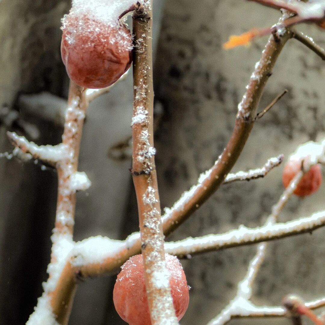 微信图片_20251030144043 微信图片_20251030144043