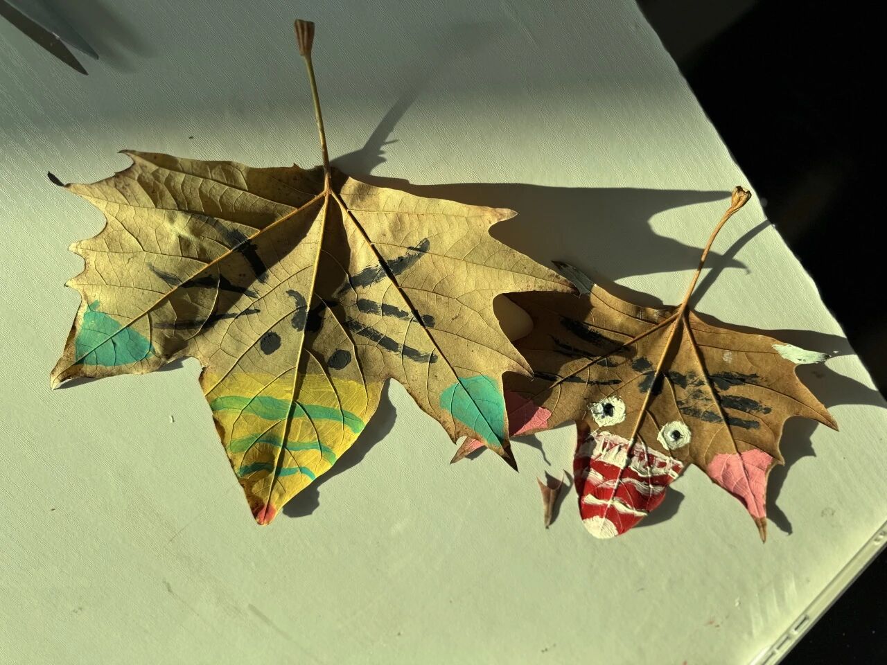 微信图片_20251209195951